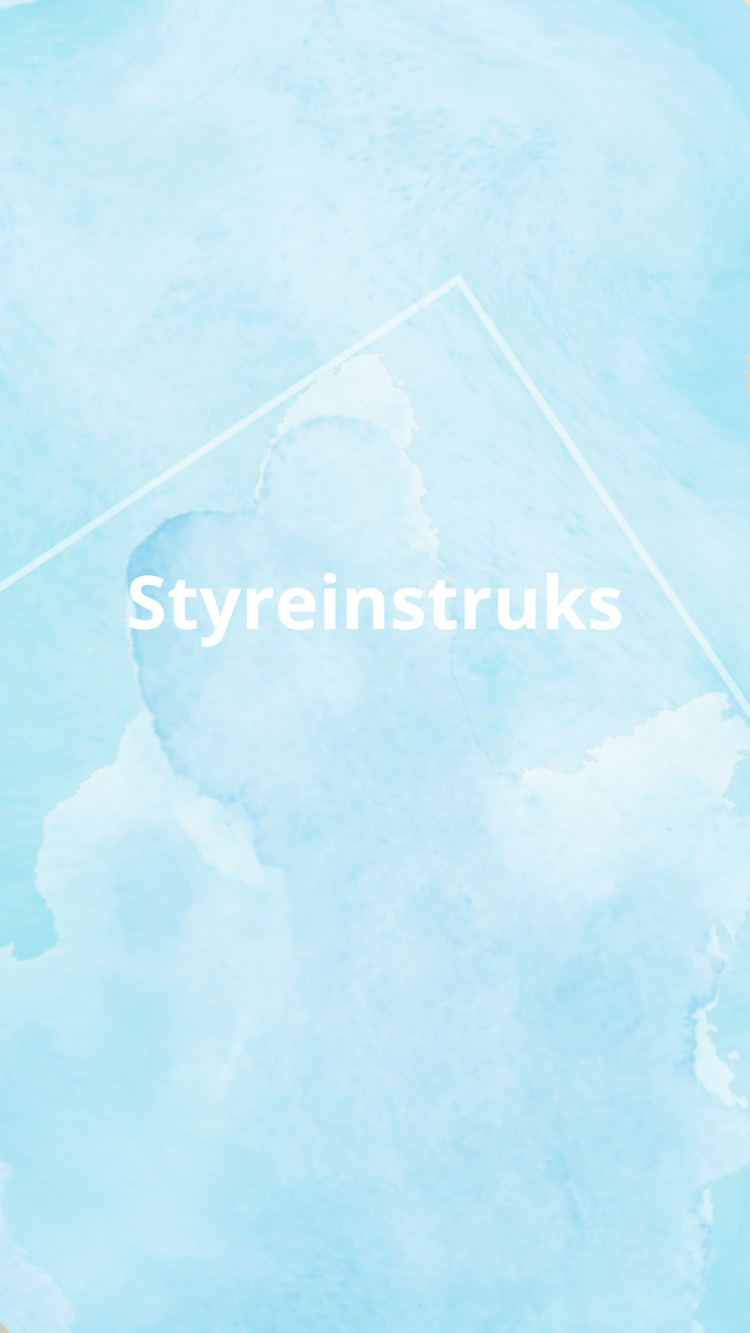 Styreinstruks