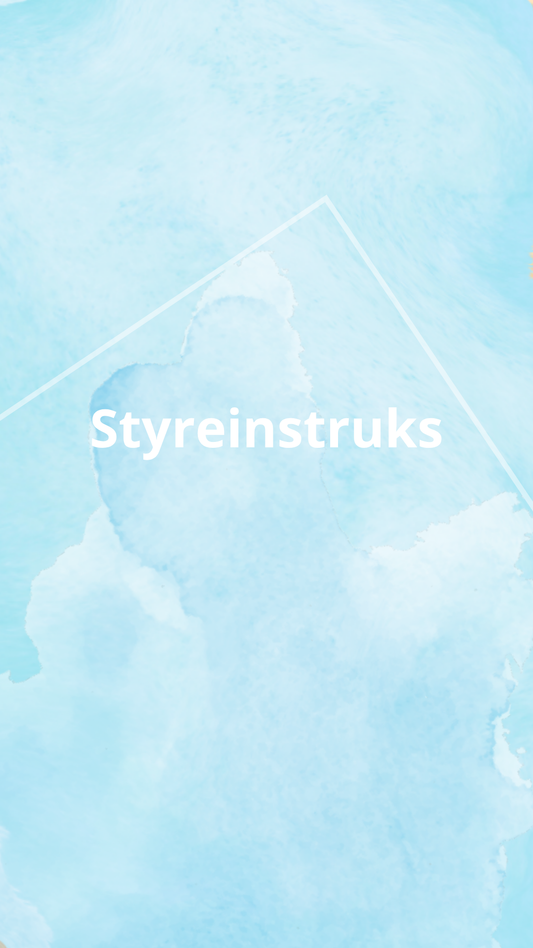 Styreinstruks